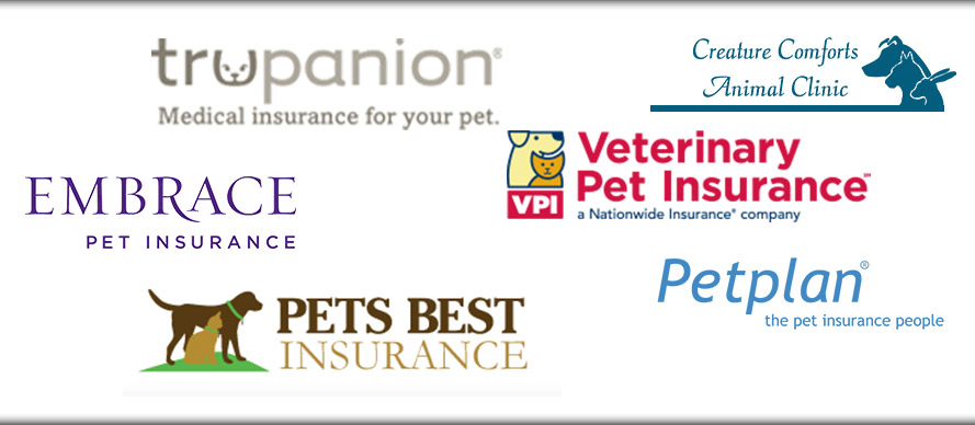 Creature Comforts Animal Clinic Pet Insurance