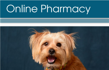 Creature Comforts Animal Clinic Online Pharmacy
